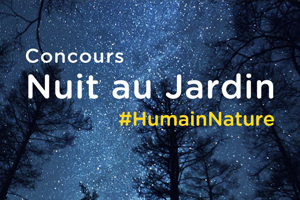 <span class='circle-activities'>2</span> Nuit au Jardin – <small>concours</small>